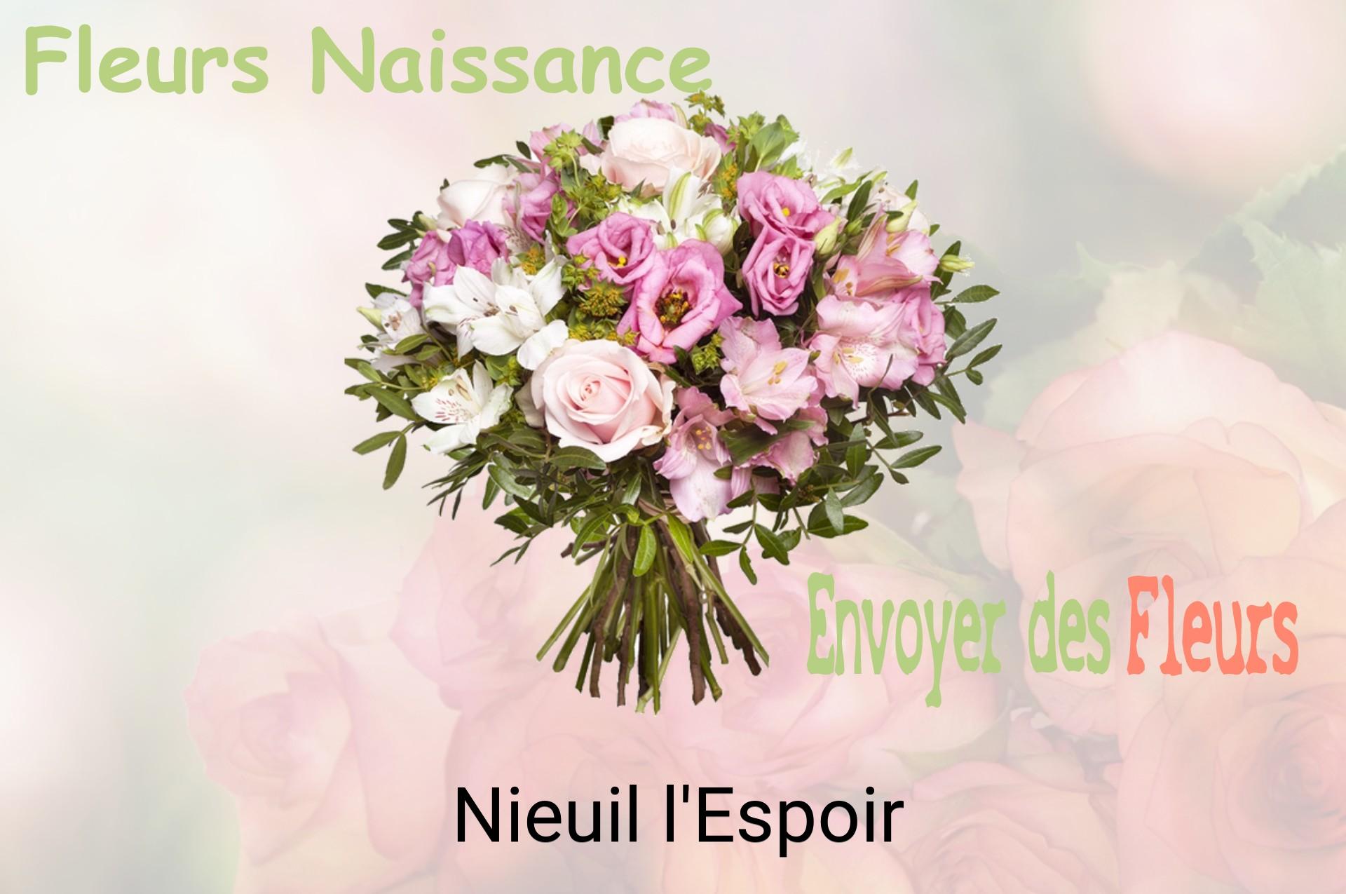Bouquet de fleurs de naissance livré à Nieuil-l'Espoir